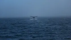 Alaska : seuls au monde Jour d'inspection