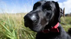 Sur National Geographic à 21h00 : Alaska : seuls au monde