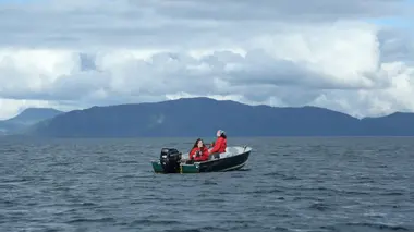 Another Day in Paradise