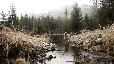 Terrains dangereux