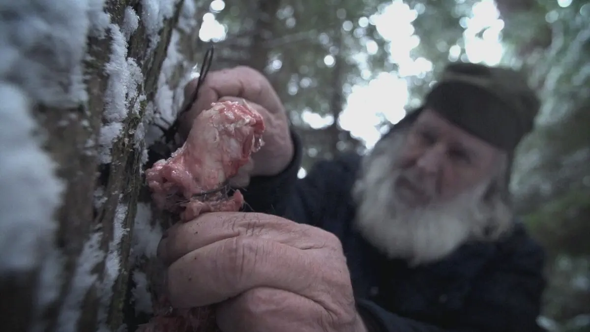 Alaska : seuls au monde Les yeux de la forêt