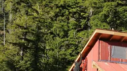 Visuel de Alaska : seuls au monde