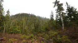 Alaska: seuls au monde S02E03 Les légendes des bois