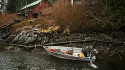 Alaska : seuls au monde Les yeux de la forêt