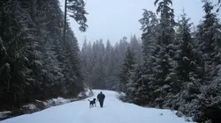 Alaska : seuls au monde Chasseurs-cueilleurs modernes