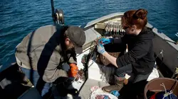 Alaska : seuls au monde Système D