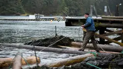 Alaska : seuls au monde Gare aux prédateurs