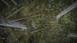 Alaska: seuls au monde S02E03 Les légendes des bois