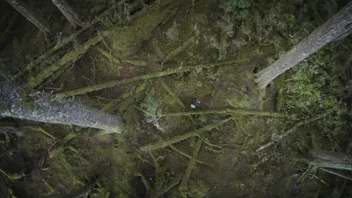 Alaska: seuls au monde S02E03 Les légendes des bois