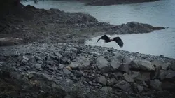 Alaska : seuls au monde Risques et dangers