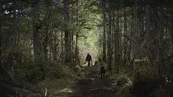 Alaska : seuls au monde Nage en eaux troubles