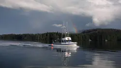 Alaska : seuls au monde  Des cendres à la vie