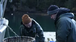 Alaska : seuls au monde Roi des ours