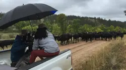 Alaska : seuls au monde  Des cendres à la vie