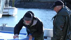 Alaska : seuls au monde Roi des ours