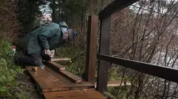 Alaska : seuls au monde Tous pour une