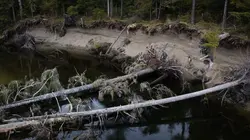 Alaska : seuls au monde Tous pour un