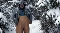 Alaska : seuls au monde Entre mer et loups