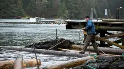 Alaska : seuls au monde Gare aux prédateurs