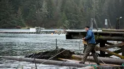 Alaska : seuls au monde Gare aux prédateurs