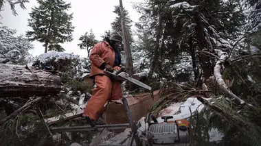 Alaska : seuls au monde Aux côtés des loups