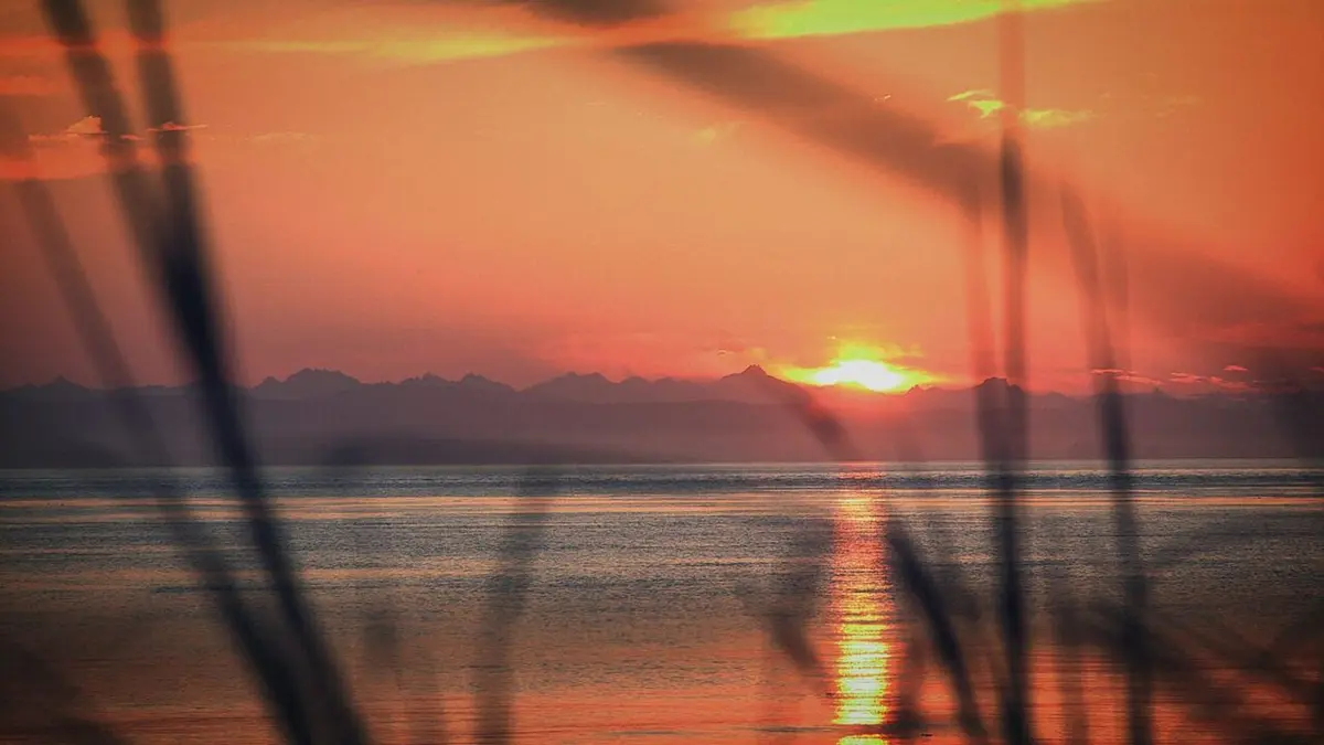Visuel de Alaska : seuls au monde Natural Selection