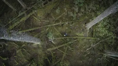 Alaska: seuls au monde S02E03 Les légendes des bois