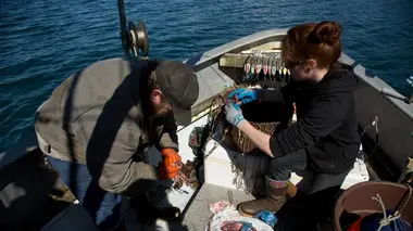 Alaska : seuls au monde Système D