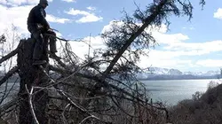 Sur Ushuaïa TV à 21h35 : Alaska : terre des extrêmes