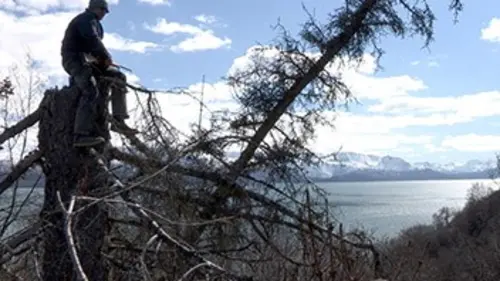 Alaska : terre des extrêmes E03 Le retour du printemps