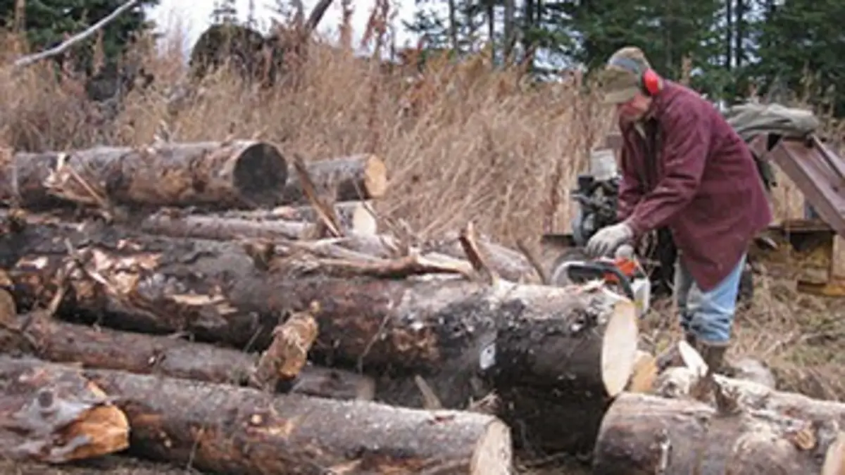 Alaska : terre des extrêmes E06 Dernier rush avant l'hiver