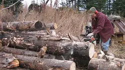 Visuel de Alaska : terre des extrêmes