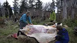 Visuel de Alaska : terre des extrêmes