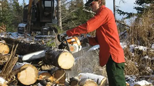 Alaska : terre des extrêmes E13 La colonie s'agrandit