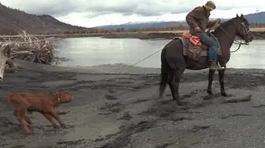 Alaska : terre des extrêmes E04 La transhumance de printemps