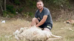 Albanie, une vie de berger