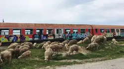 Albanie, voyage au bout des rails