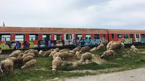 Albanie, voyage au bout des rails
