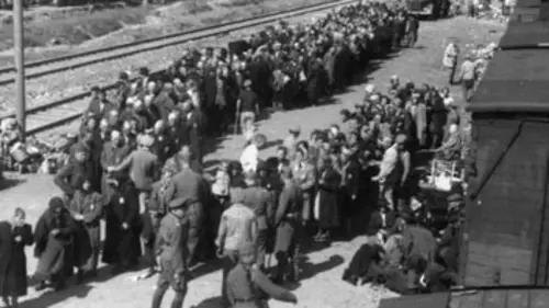 Album(s) d'Auschwitz