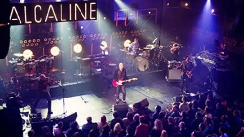 Alcaline, le concert Gaëtan Roussel