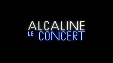 Alcaline, le concert Indochine