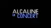 Alcaline, le concert Indochine