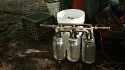 Alcool de contrebande