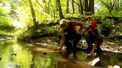 Alcool de contrebande En Géorgie