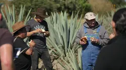 Alcool de contrebande