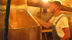 Alcool de contrebande S06E09 Green Dragon