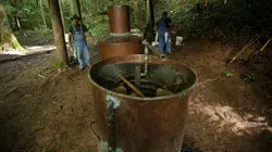 Alcool de contrebande Dites oui au désordre