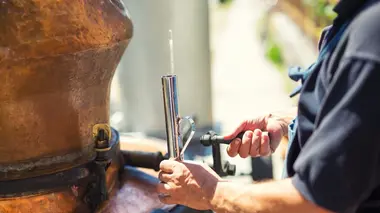 La ruée vers l'orge