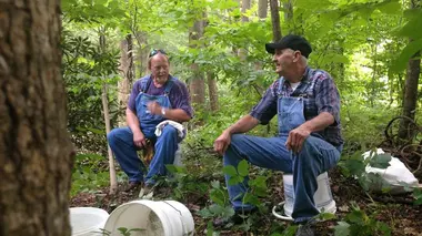 Alcool de contrebande S05E09 De l'eau dans le gaz