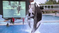 Alerte à Malibu S04E14 Fantôme d'amour